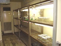 培養室